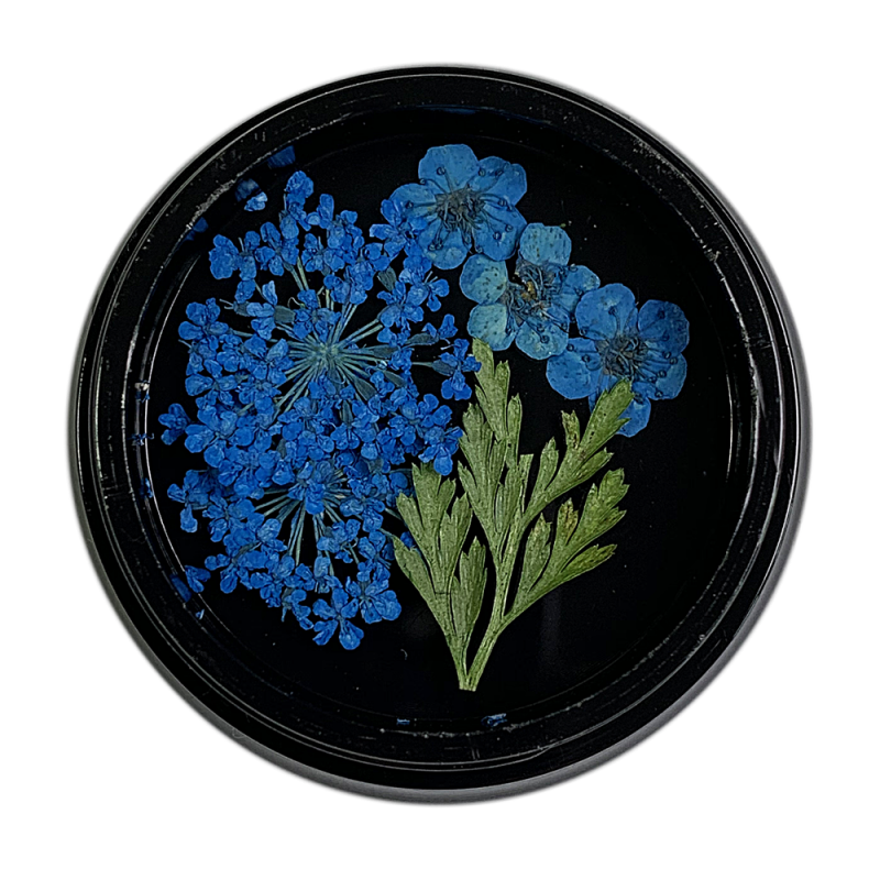 Magpie Gedroogde Bloemetjes Blauw