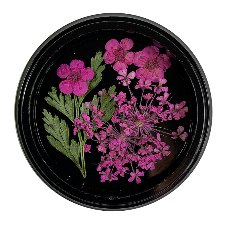 Magpie Gedroogde Bloemetjes Fel Roze