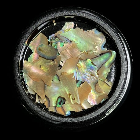 Magpie Shells Natural
