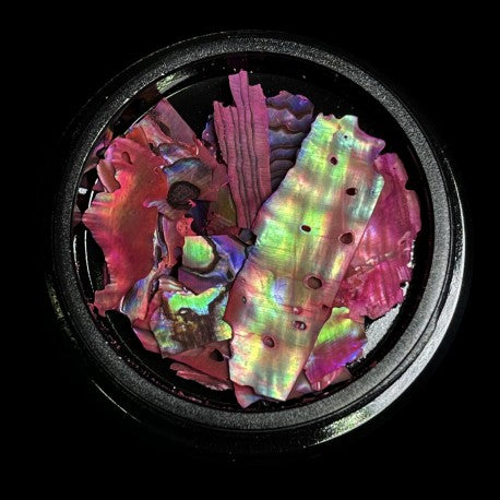 Magpie Shells Pink